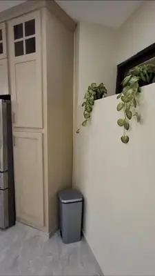 a room with a door and a plant on the wall at Costa Azul Skibel 2 br in Santo Domingo