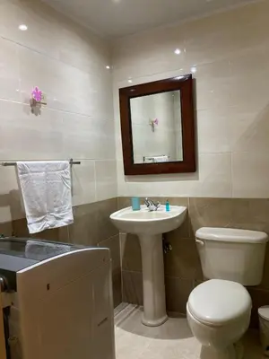 a bathroom with a toilet and a sink and a mirror at Residencial Don Pedro 1103 in Santo Domingo