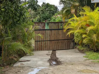 a wooden gate with a palm tree in front of it at La Casita Primavera-Cozy and Rustic in Piedra Blanca