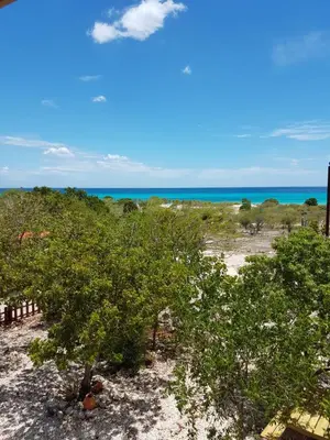 a beach with trees and the ocean in the background at La Casita De La Cueva in Cabo Rojo