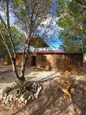 a bench and a tree in front of a building at La Casita De La Cueva in Cabo Rojo