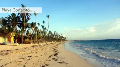 a beach with palm trees and the ocean at Luxury penthouse with panoramic ocean view in Punta Cana