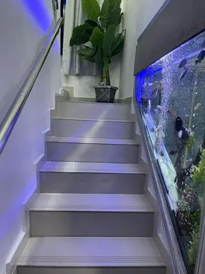 a stairway with a fish tank on the top at Acogedora Casa Vacacional in Colorado