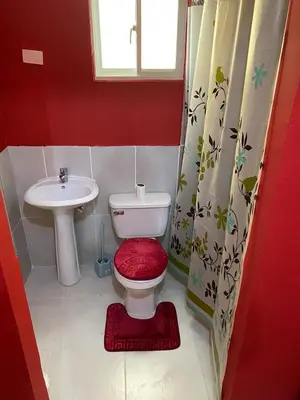 a small bathroom with a toilet and a sink at 1st floor 3 Bedrm 2 Baths AC Condo near airport in Los Paredones