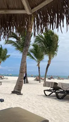 a group of palm trees on a sandy beach at Amazing apartment pool and beach life in los corals punta cana in Punta Cana
