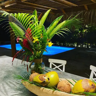 a table with fruit and a vase with a plant at Villa de Lima in Las Terrenas