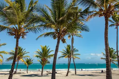 a group of palm trees on the beach at Penthouse con picuzzi privado y barbacoa en Bávaro in Punta Cana