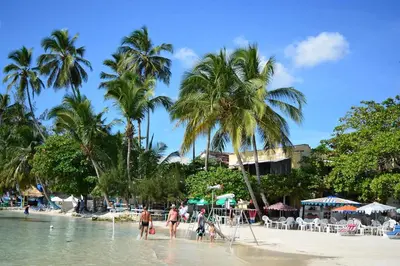 a group of people on a beach with palm trees at Hannabi in Colorado
