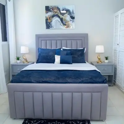 Luxury Apartment
