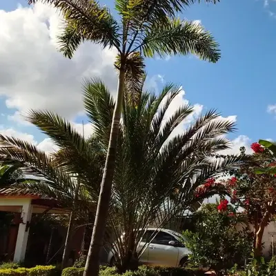 Villa Dupi