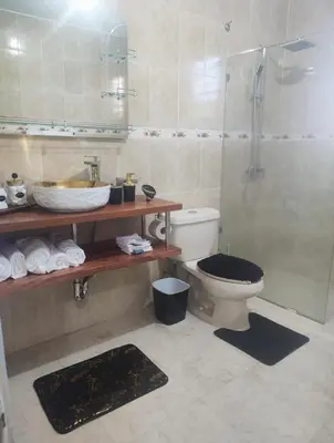 a bathroom with a toilet and a shower and a sink at El Rincon de Sanchez