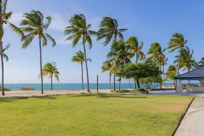 a view of the beach and palm trees at Xanadú in Sampiño