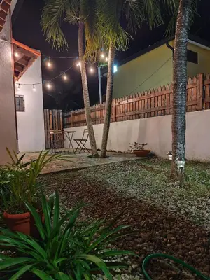 a yard with palm trees and a fence at night at Serenity Dominicus in La Laguna