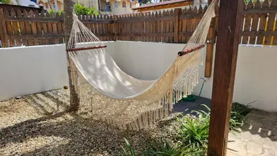 a hammock hanging from a tree in a yard at Serenity Dominicus in La Laguna