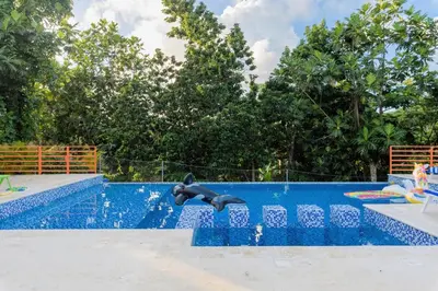a pool with a black dolphin in the water at VILLA LEMON Samaná in El Limón