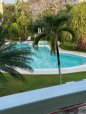 a palm tree in front of a swimming pool at Waterfront apartment in Las Terrenas