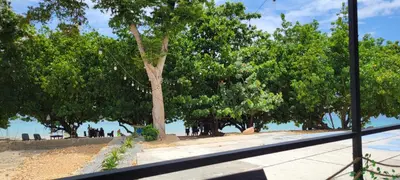 a tree on the beach with people in the background at Room 5 in Río San Juan