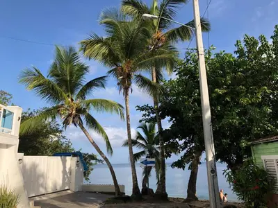 a group of palm trees in front of a house at Room 1 in Río San Juan