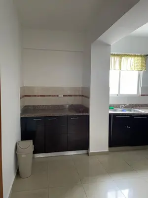 a kitchen with black cabinets and a sink and a trash can at Amplio y acogedor apto céntrico de 3 habitaciones in Santo Domingo