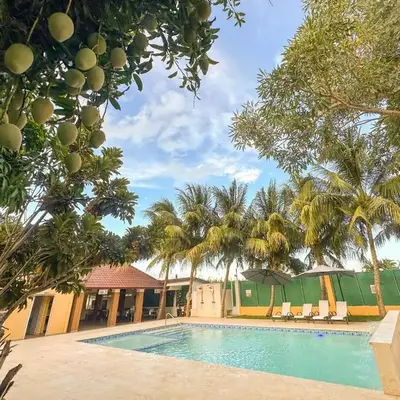 Terrenal Paradise