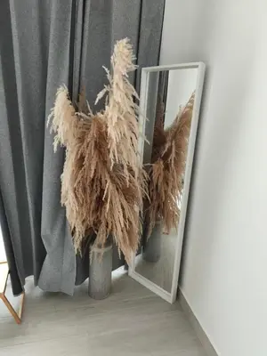 a mirror sitting next to a vase with a feather at Apartamento Cómodo en Punta Cana in Punta Cana