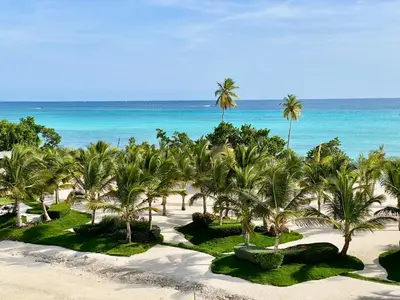 an aerial view of a beach with palm trees and the ocean at Tropical Escape with 3 Pools & Private Beach Club Aqua Esmeralda in La Laguna