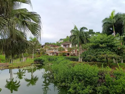 a river with palm trees and a house in the background at Beachside Apartment with Ocean View, Garden and 2 Swimming Pools in Las Terrenas