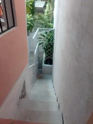 a stairway leading up to a building with potted plants at Comodo y acogedor apartamento en Los Mameyes in Los Tres Ojos de Agua