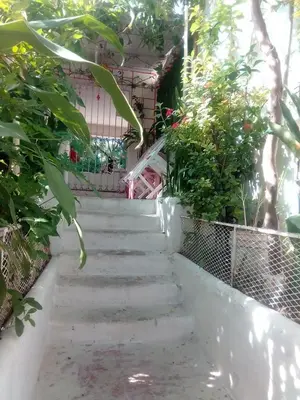 a stairway leading to a building with plants at Comodo y acogedor apartamento en Los Mameyes in Los Tres Ojos de Agua