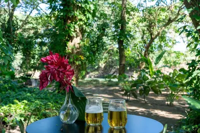 a table with two glasses of beer and a vase with a flower at REFUGIO Sabaneta de Yasica in Cabarete