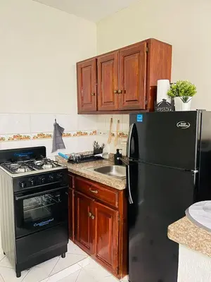 a kitchen with a black refrigerator and a sink at De pina apartaestudio in Santiago de los Caballeros