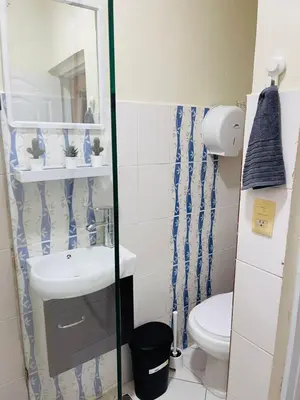 a bathroom with a sink and a toilet at De pina apartaestudio in Santiago de los Caballeros