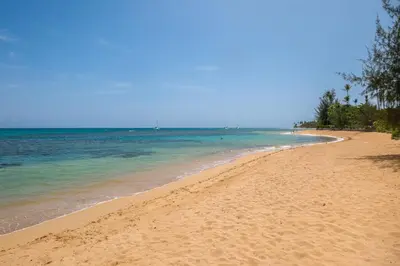 a sandy beach with trees and the ocean at Oceanfront apartment in Las Terrenas
