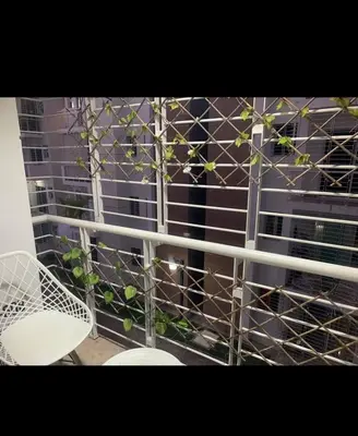a balcony with a window with a plant at Leni's Confort in Santiago de los Caballeros
