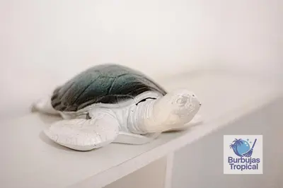 a stuffed turtle sitting on a shelf at 3 Bdr Apt in La Romana - Full Kitchen - Pool - Gym - Security in Cumayasa Kilómetros Diez