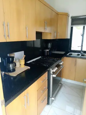 a kitchen with wooden cabinets and a stove top oven at Casahermosa in Santo Domingo
