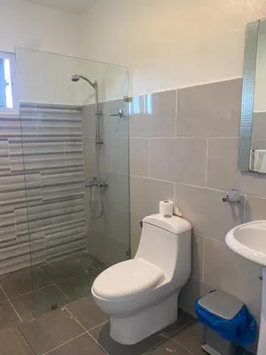 a bathroom with a toilet and a shower and a sink at Hotel Down Town Cabrera in Cabrera