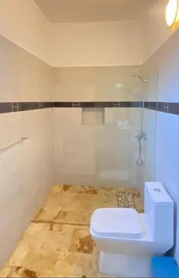 a bathroom with a white toilet and a shower at Villa Langosta in Las Terrenas