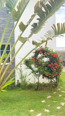 a bush of red flowers in front of a building at Villa Langosta in Las Terrenas