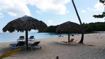 a group of chairs and umbrellas on a beach at Villas Reynoso, Near La Playita Beach in Las Galeras Samaná in Las Galeras