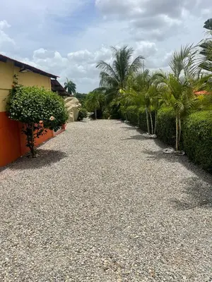 a gravel driveway with palm trees and a building at Rancho La Loma in Higuey