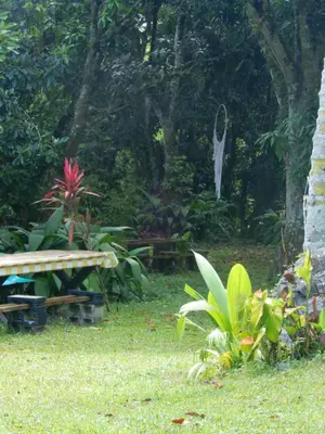 a park with a bench and some plants and trees at Eco Camping Jarabacoa in Jarabacoa