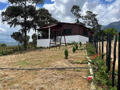 a small house with a garden in front of it at Nice mountain cabin, with the best view