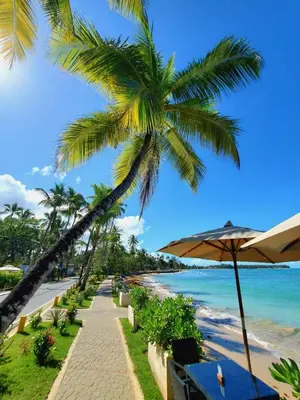 Gallery image of HOTEL ALIGIO - Beachfront in Las Terrenas