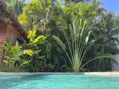 a swimming pool in front of a resort with palm trees at Tropical Bliss Retreat in Las Terrenas