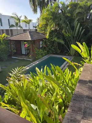 a swimming pool in a garden with green plants at Tropical Bliss Retreat in Las Terrenas