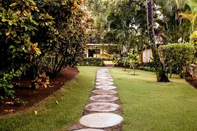 a walkway in a garden with rocks on the grass at nNomad Apartment steps to Sirena - Apartment in Sosúa