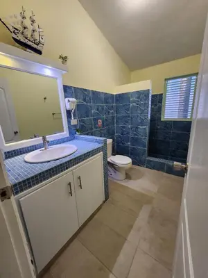 a bathroom with a sink and a toilet at KERY-OASIS 2bdr with pool close to the Beach in Las Terrenas
