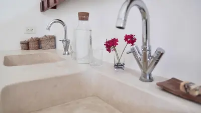 a kitchen sink with two water faucets and flowers at Ki-Ra Holistic Living in Boca de Chavón