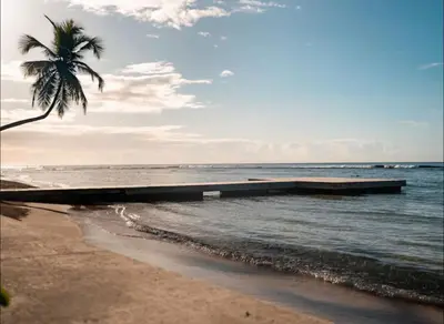 a palm tree and a pier on the beach at Aquarella Deluxe Caribbean Paradise in La Puntica de Juan Dolio